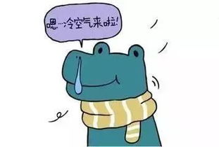 打开天气，便打开了日子