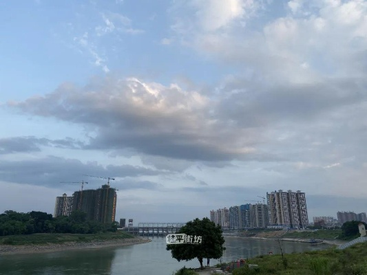 桂平的天气，像一壶慢煮的茶