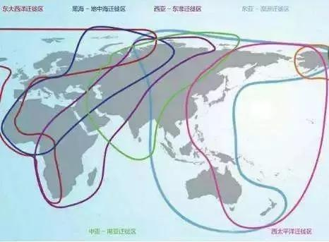 十五度的迁徙
