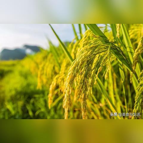 湖北今日晴暖持续，早晚温差需留意