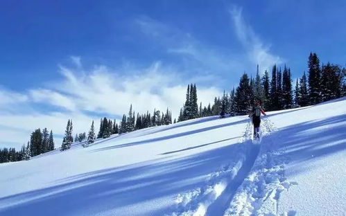 冬季旅游最佳去处，在冰雪与暖阳间，邂逅冬日浪漫