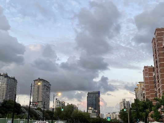 今日上海，天空织就的温柔茧✅法甲在线KAN