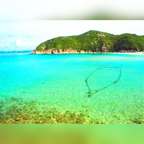 海南暖冬天气指南，15天气温查询