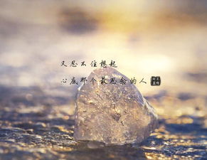 一场活着的预报 V9.73.2