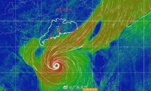 风暴之眼，解读台风实时发布路径图背后的科学与警示