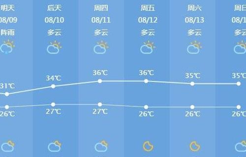 实测对比，多款天气预报软件准确性大PK，究竟哪个最准？
