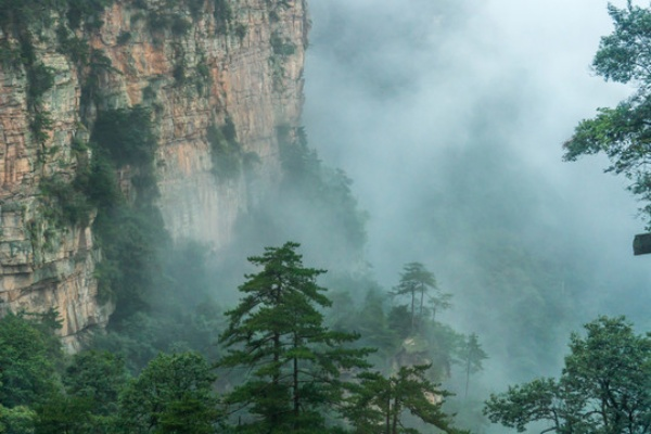 张家界，云雾深处的山水诗篇