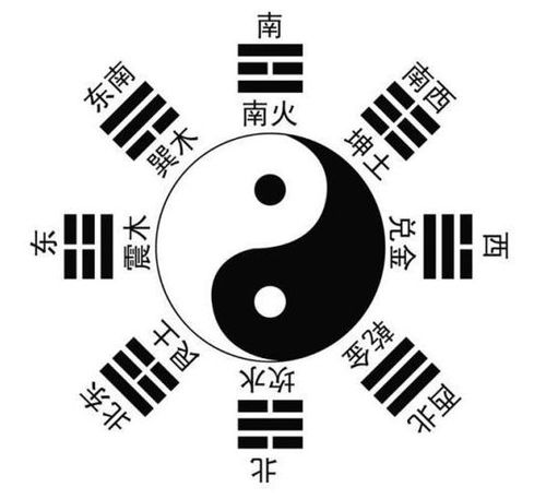 九天早知道，香港天文台天气预报如何成为市民生活的天气罗盘