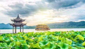 奉贤天气，江南的温柔与变幻