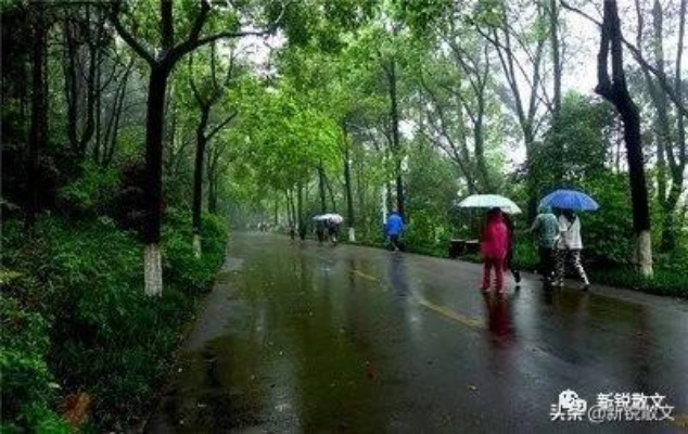 汝城天气里的人生哲学，从一场雨看生活的真相