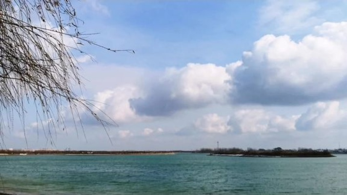 鲁北小城广饶，一季一景，四季分明的时光诗篇