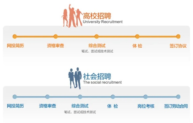 人才网招聘官网，连接企业与求职者的数字桥梁