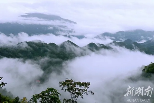 桑植天气预报，云雾缭绕中的山水生活指南
