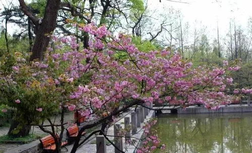 昆明2025年4月，春风不燥，阳光正好