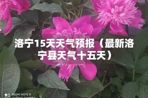 洛宁天气预报，四季轮回中的生活指南