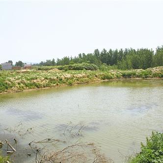 秦皇岛天气预报，春日海滨晴雨交替，出行需留意