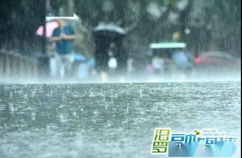 汨罗天气,一曲千年的冷暖诗篇 汨罗天气,一曲千年的冷暖诗篇