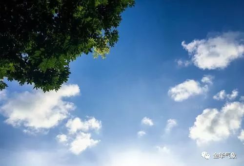 2022年盛夏八月流火，极端高温背后的天气密码