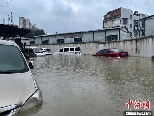 广西未来三天暴雨来袭，多地需警惕洪涝与地质灾害