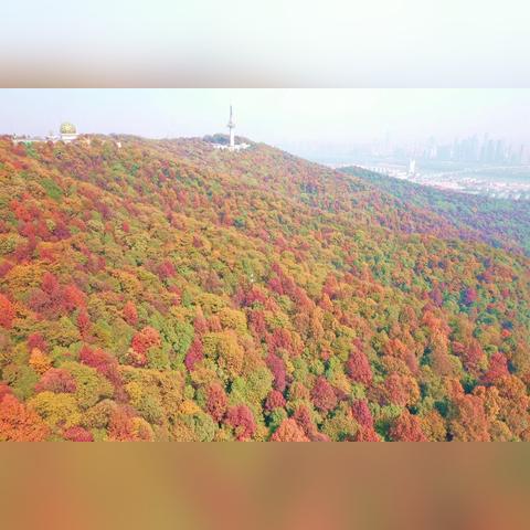 长沙未来7天晴雨交替，气温先升后降