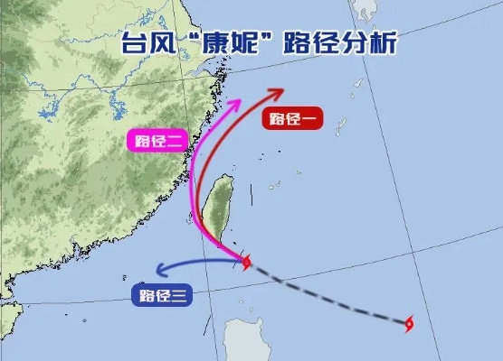 台风实时路径下的生存智慧，解读风起风落间的安全法则