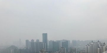 邵武天气预报，解码山城冷暖的生态密码