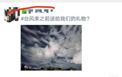 舞阳天气晴雨录，冷暖交替中的人间烟火