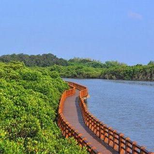 海口市天气预报，四季如春的海岛气候与出行指南